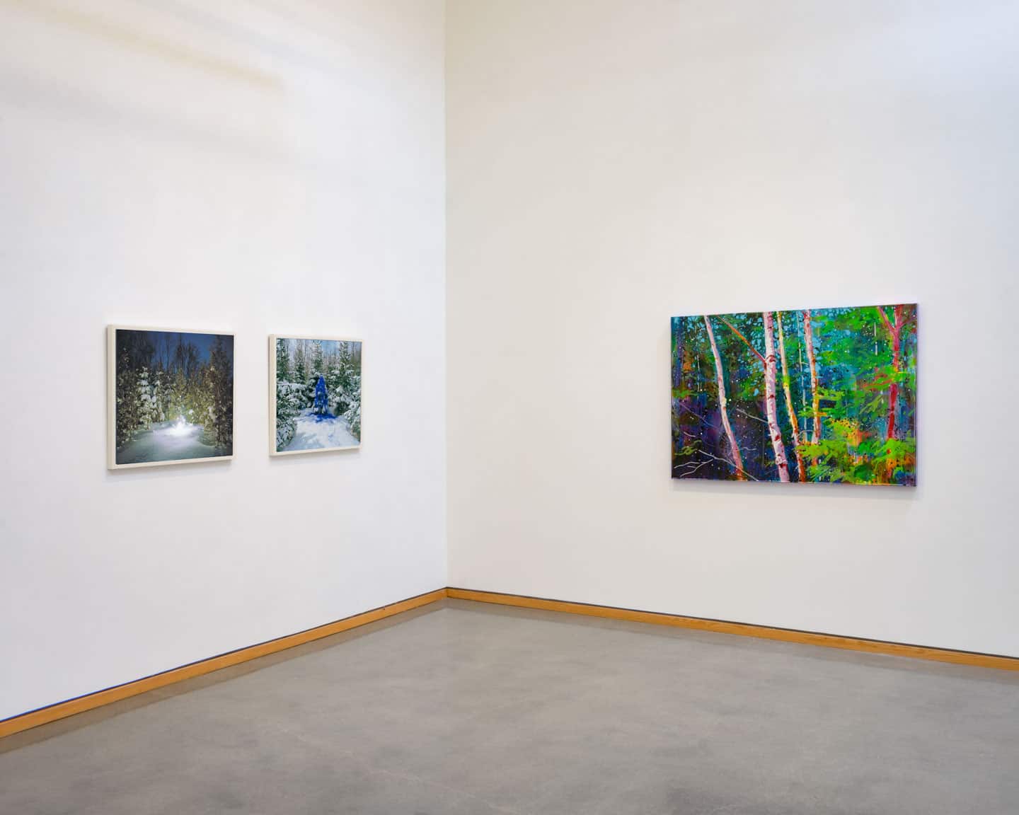 The Snow Show at Angell Gallery